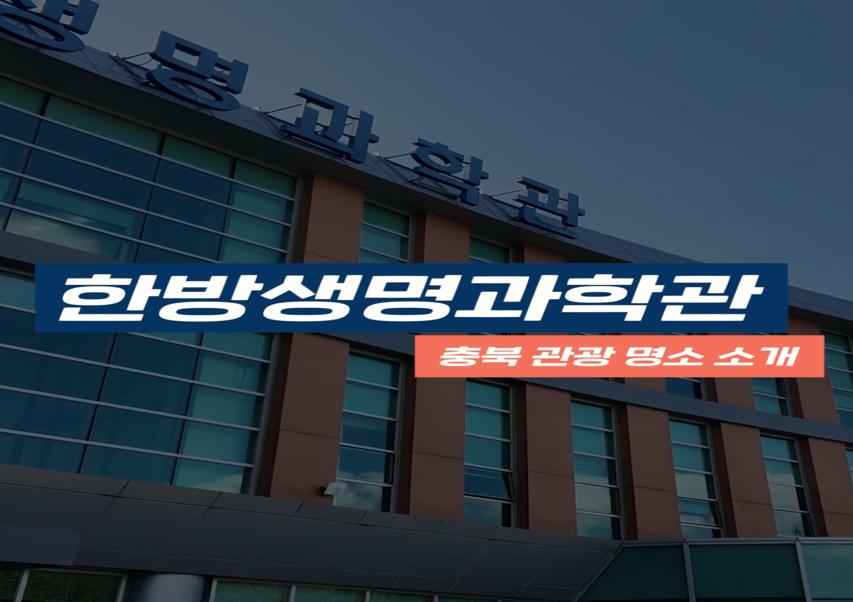제천 치유의숲 - 활인심방 숲 테라피 이미지