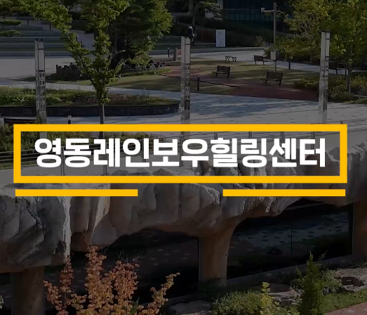 제천 치유의숲 - 활인심방 숲 테라피 이미지