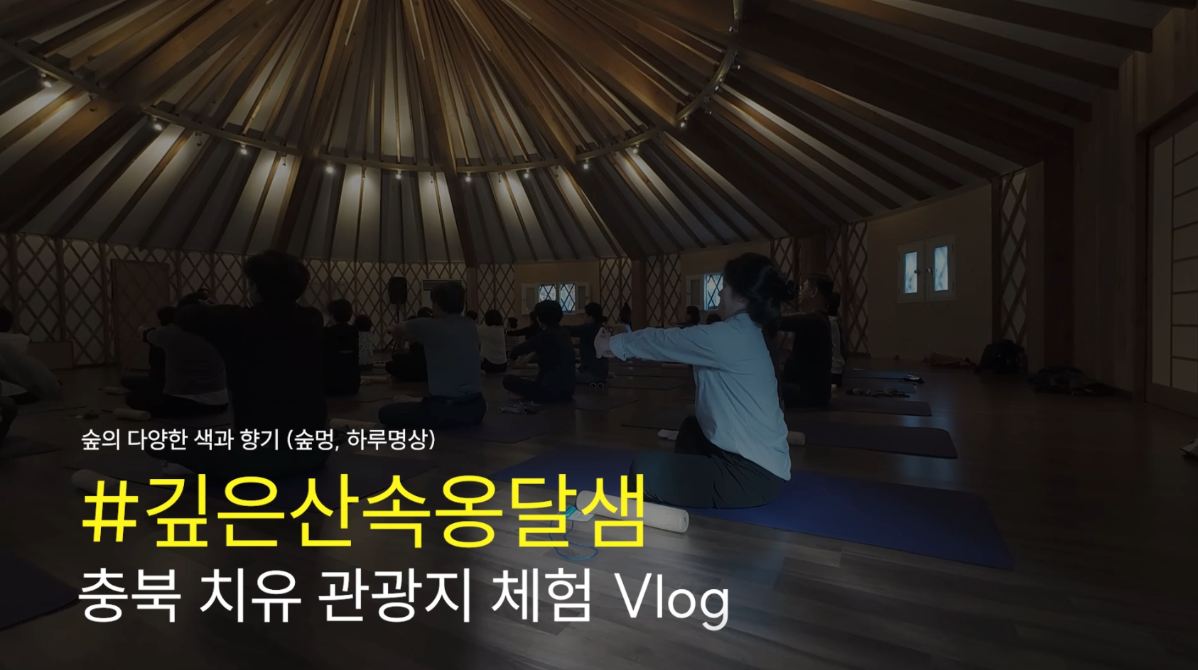 제천 치유의숲 - 활인심방 숲 테라피 이미지