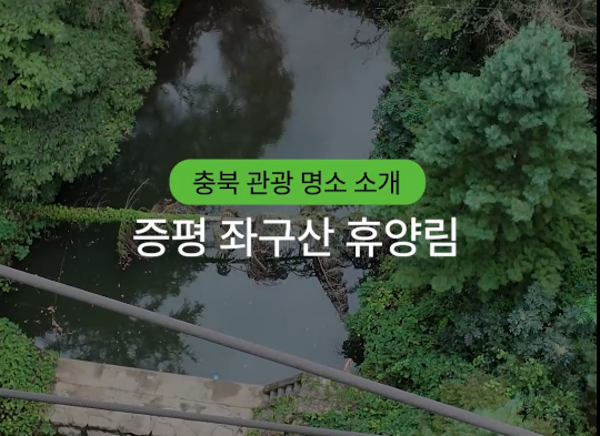 제천 치유의숲 - 활인심방 숲 테라피 이미지