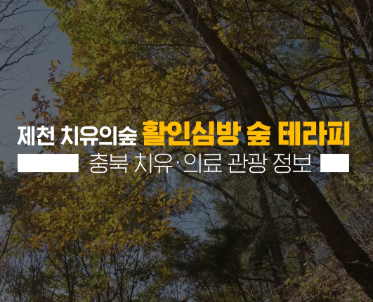 제천 치유의숲 - 활인심방 숲 테라피 이미지