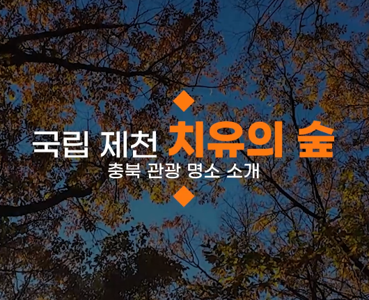 제천 치유의숲 - 활인심방 숲 테라피 이미지