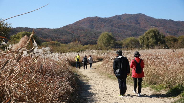 느림보 걷기명상 여행