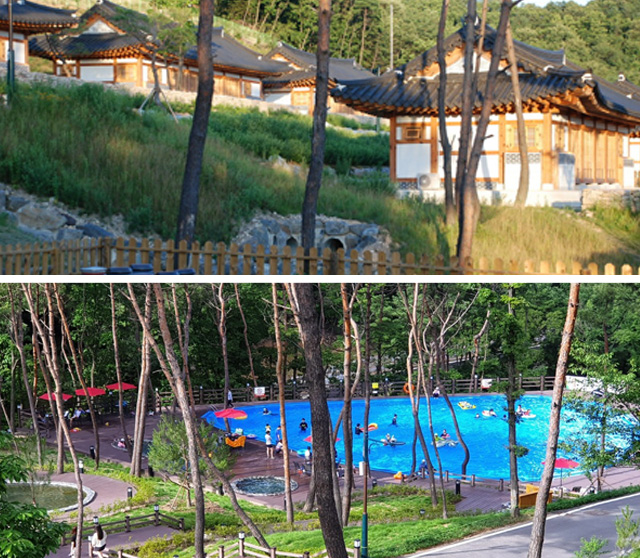 속리산 숲체험휴양마을