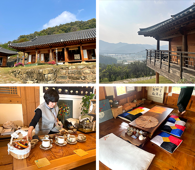 보은 하얀민들레 생태마을