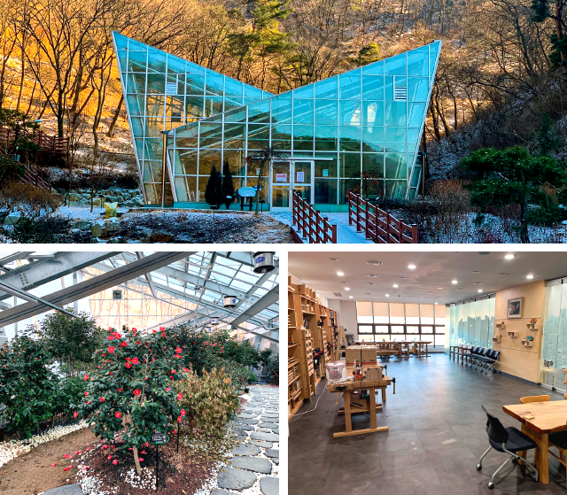 백야산 자연휴양림