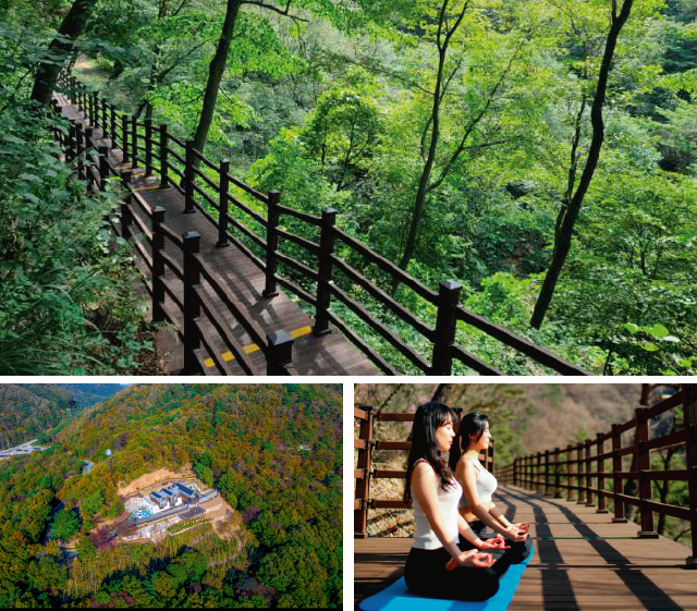 국립 제천 치유의 숲
