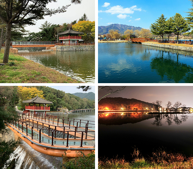 의림지 한방 치유의 숲길